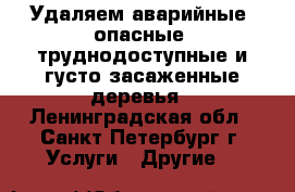 Удаляем аварийные, опасные, труднодоступные и густо засаженные деревья - Ленинградская обл., Санкт-Петербург г. Услуги » Другие   